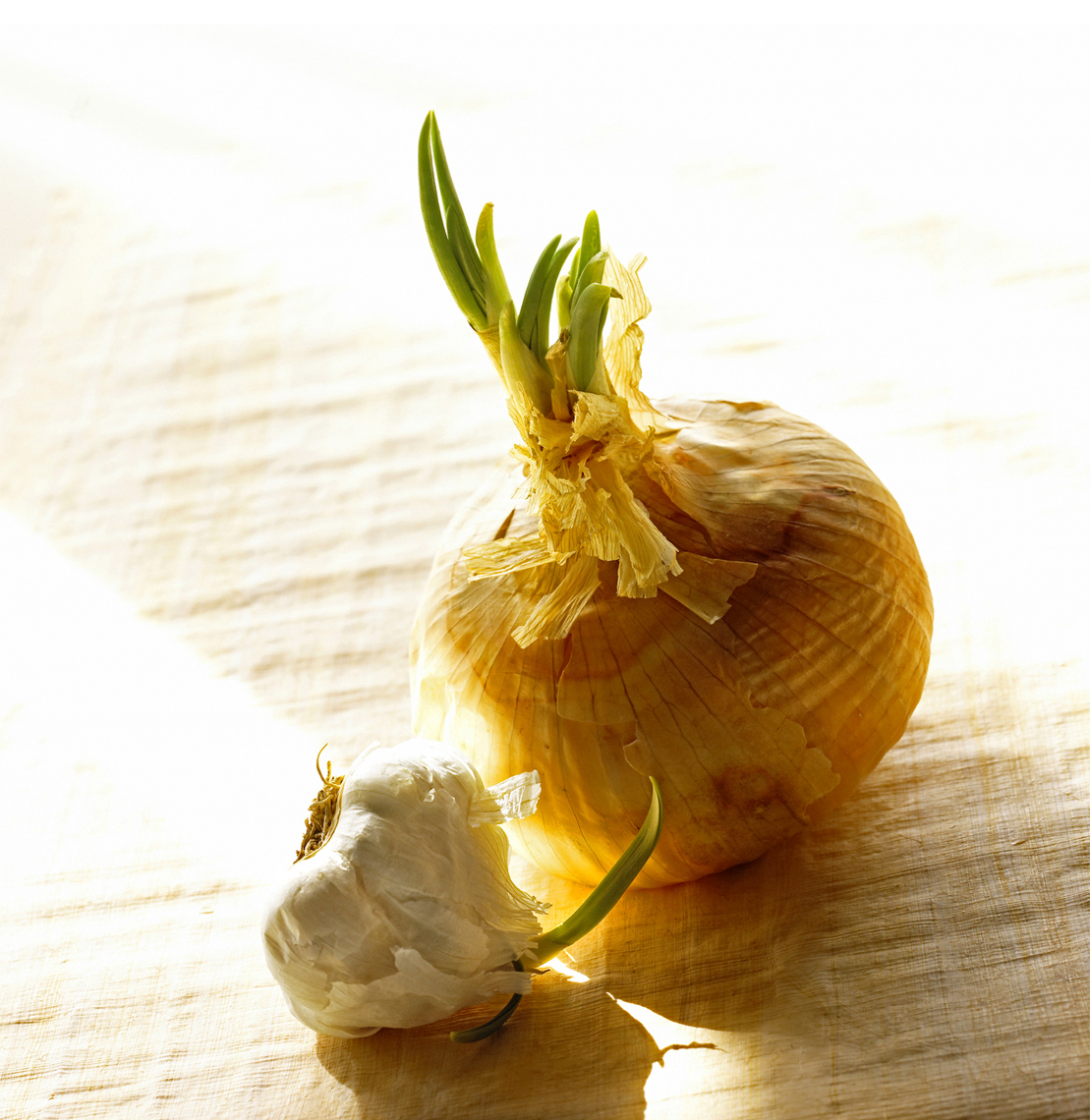 onion_garlic